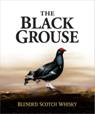 black-grouse