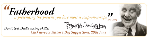 father-day-banner-nl