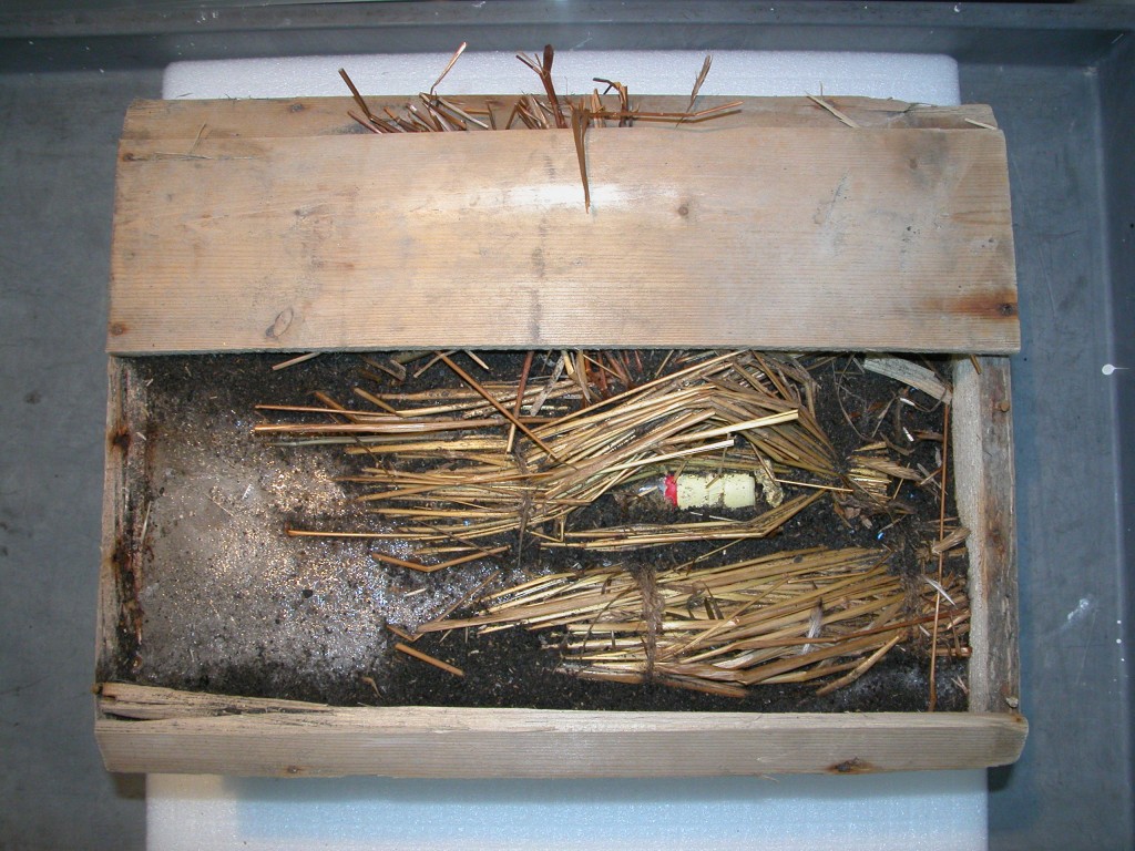 bae-crate-top-view-1024x768