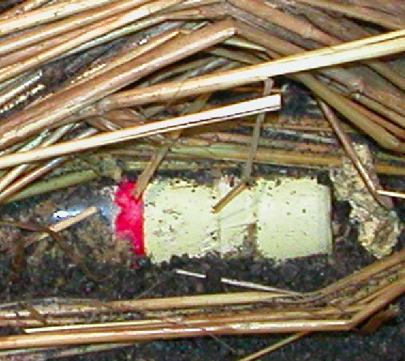 shackleton-whisky-cap