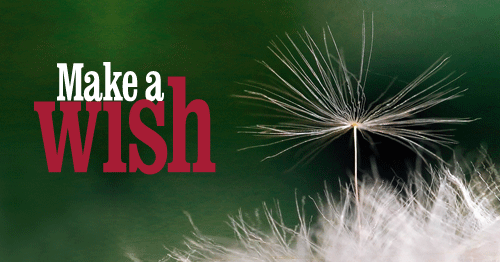 ss0875-cask-ends-update-jul-2010_email_