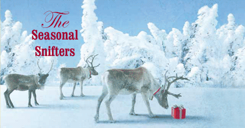 ss0901_dec_2010_email_