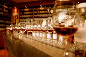 img_1670-800x533 img_1670-800x533