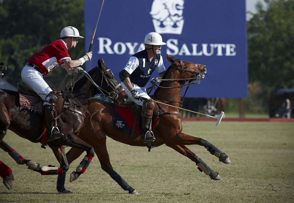 theroyalsalutepolojodhpur theroyalsalutepolojodhpur
