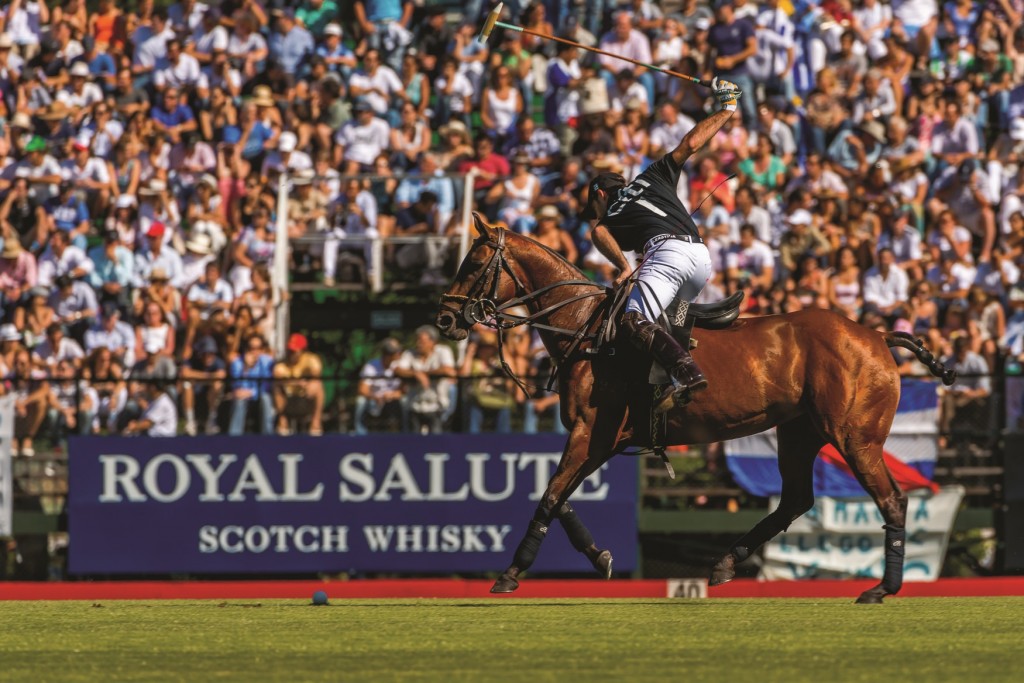 The Best Polo Photography Anywhere
