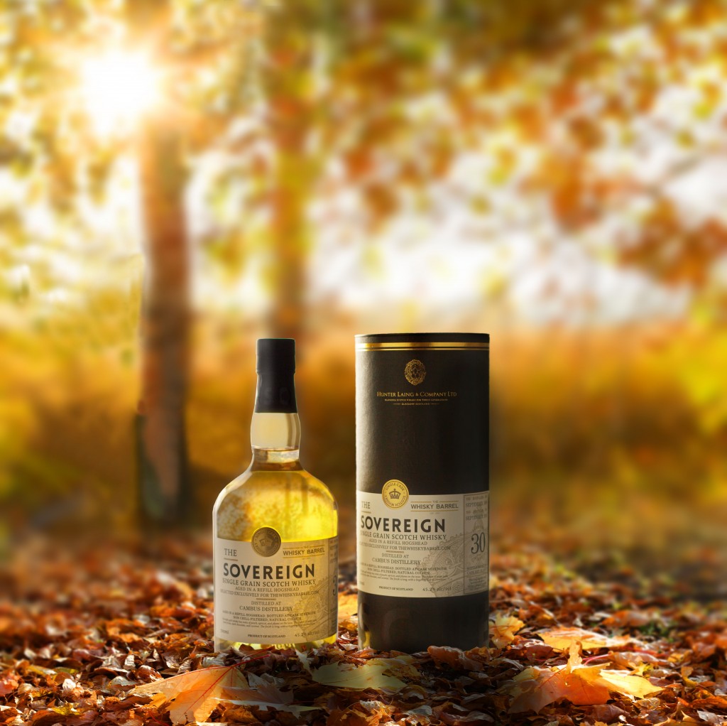 Beautiful autumn landscape with yellow trees and sun. Colorful f