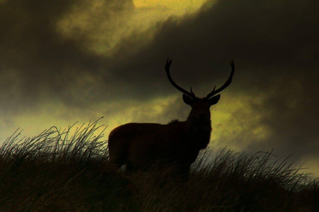 MS 2 ian goin on a stag weekend